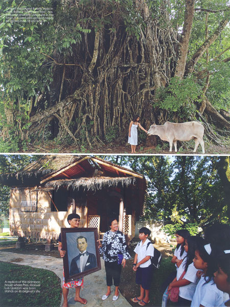 Basking in the Beauty of Baler